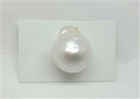 Pendente Mazzucato Gioielli Donna in Perle Perla 19P - 19P